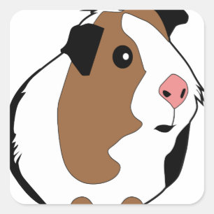Illustratie cavia's vierkante sticker
