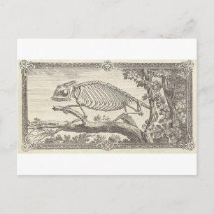 Illustratie Chameleon Skeleton Briefkaart