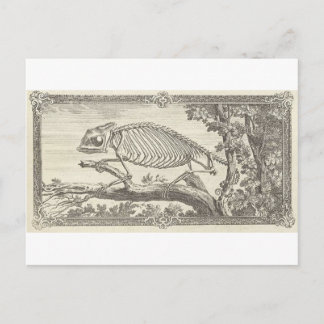 Illustratie Chameleon Skeleton Briefkaart