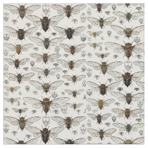 illustratie Cicadas Stof