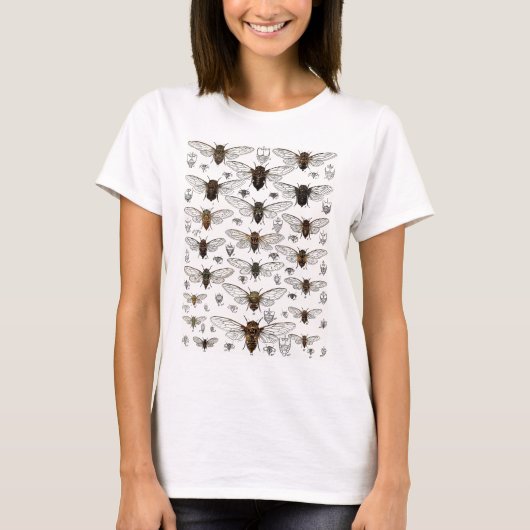  illustratie Cicadas T-shirt (Voorkant)