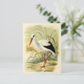 Illustratie cigogne briefkaart (Staand voorkant)