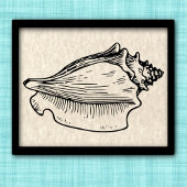 illustratie Conch Shell Poster