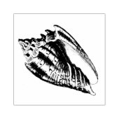 Illustratie Conch Shell Rubberstempel (Afrduk)