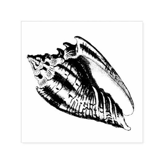 Illustratie Conch Shell Zelfinktende Stempel (Design)