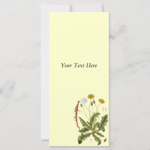 illustratie Dandelion