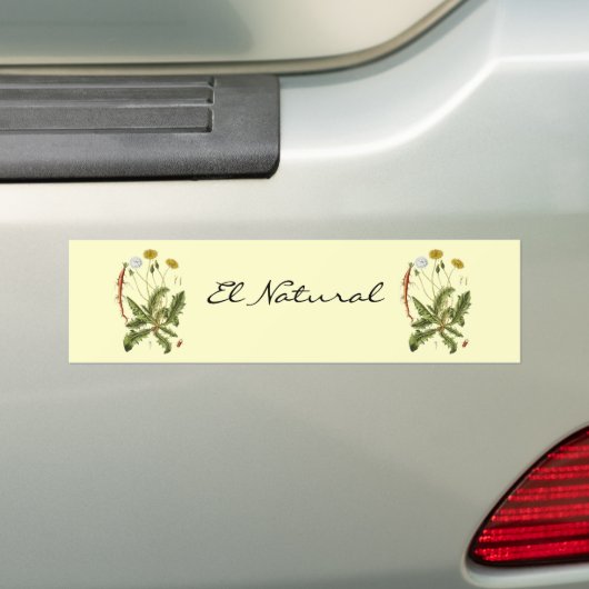  illustratie Dandelion Bumpersticker (Op auto)