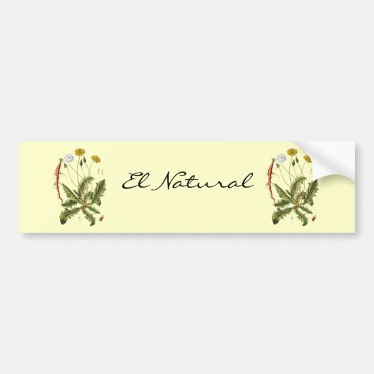  illustratie Dandelion Bumpersticker (Voorkant)