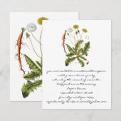  illustratie Dandelion Kaart (Voorkant / Achterkant)