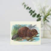  illustratie "De bever" Briefkaart (Staand voorkant)