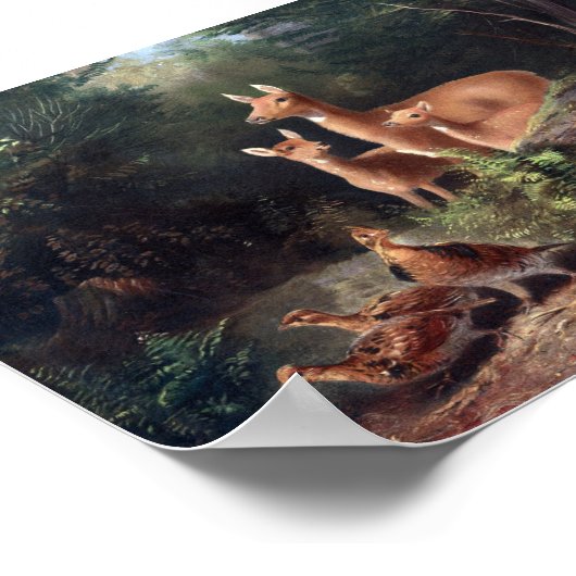  illustratie Deer Poster (Hoek)