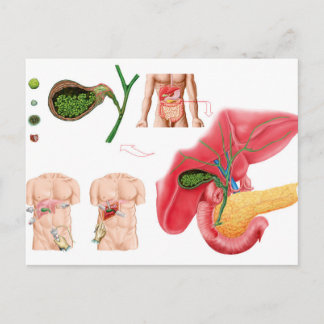Illustratie die chromosoomopname aangeeft briefkaart