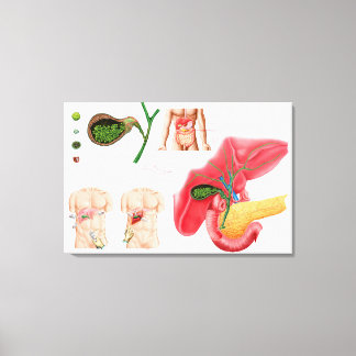 Illustratie die chromosoomopname aangeeft canvas afdruk