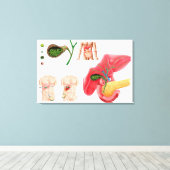 Illustratie die chromosoomopname aangeeft canvas afdruk (Insitu (Houten vloer))