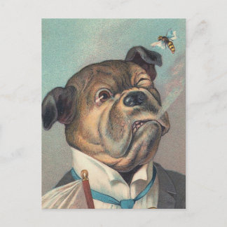 Illustratie Dog en Wasp Briefkaart
