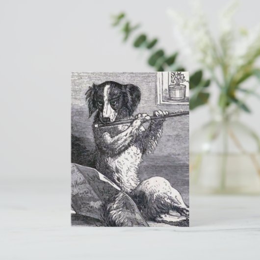 illustratie "Dog Speel the Flute" Briefkaart (Staand voorkant)