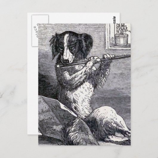 illustratie "Dog Speel the Flute" Briefkaart (Voorkant / Achterkant)