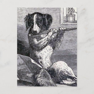  illustratie "Dog Speel the Flute" Briefkaart