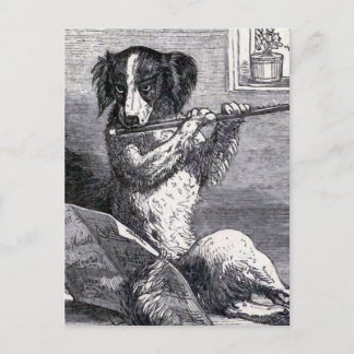  illustratie "Dog Speel the Flute" Briefkaart