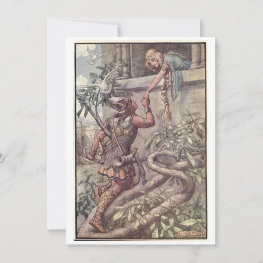 illustratie door Frank C. Pape "De Prins" (Voorkant)