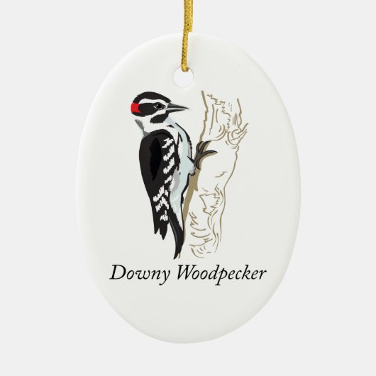 Illustratie Downy Woodpecker Keramisch Ornament (Voorkant)