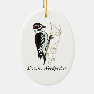 Illustratie Downy Woodpecker Keramisch Ornament