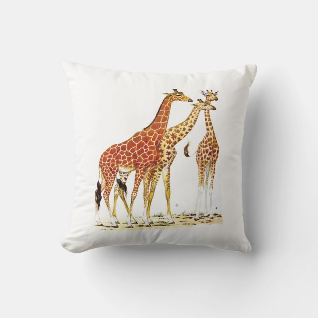 Illustratie drie Giraffes Kussen (Voorkant)
