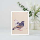 illustratie: Duif Briefkaart (Staand voorkant)