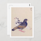 illustratie: Duif Briefkaart (Voorkant / Achterkant)