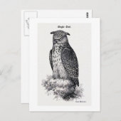 illustratie "Eagle Owl" Briefkaart (Voorkant / Achterkant)