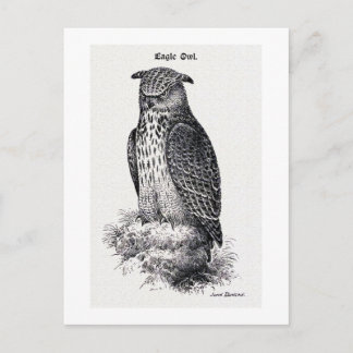 illustratie "Eagle Owl" Briefkaart