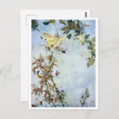 illustratie Edmund Dulac Tempest Briefkaart (Voorkant / Achterkant)