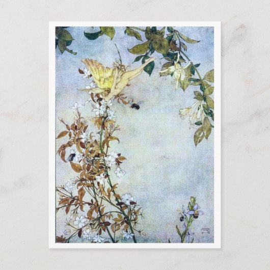 illustratie Edmund Dulac Tempest Briefkaart (Voorkant)