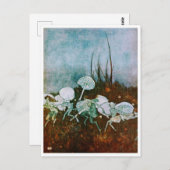  illustratie Edmund Dulac Tempest Briefkaart (Voorkant / Achterkant)