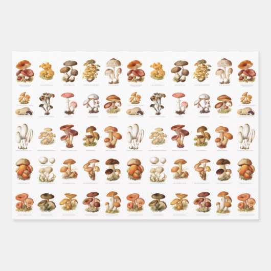 illustratie eetbare niet-eetbare paddenstoelen inpakpapier vel (Voorkant 2)