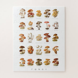 illustratie eetbare niet-eetbare paddenstoelen legpuzzel