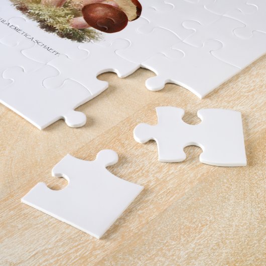 illustratie eetbare niet-eetbare paddenstoelen legpuzzel (Zijkant)