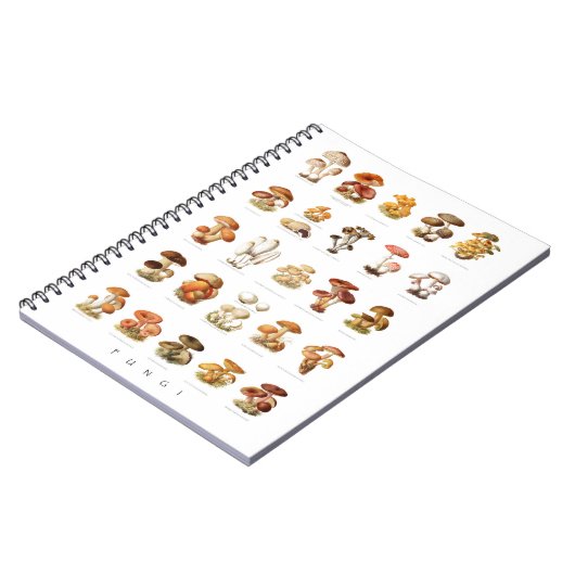  illustratie eetbare niet-eetbare paddenstoelen notitieboek (Linkerzijde)