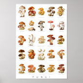 illustratie eetbare niet-eetbare paddenstoelen poster (Voorkant)