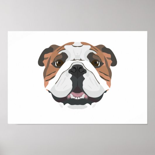 Illustratie Engelse Bulldog Poster (Voorkant)