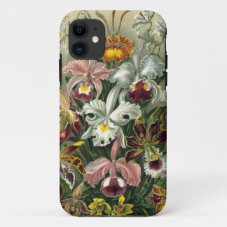 Illustratie Ernst Haeckel  Orchid iPhone 11 Hoesje