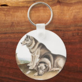 Illustratie Esquimaux Dog (Canis familiaris) Sleutelhanger (Voorkant)