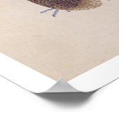  illustratie: fazant poster (Hoek)