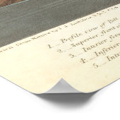  illustratie Flamingo (1838) Poster (Hoek)