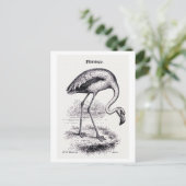  illustratie "Flamingo" Briefkaart (Staand voorkant)