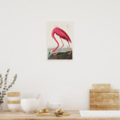  illustratie Flamingo Poster (Keuken)