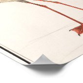  illustratie Flamingo Poster (Hoek)