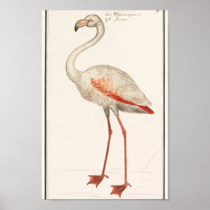  illustratie Flamingo Poster