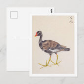  illustratie: Gemeenschappelijke moorhen Briefkaart (Voorkant / Achterkant)