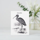 illustratie "Glossy Ibis" Briefkaart (Staand voorkant)